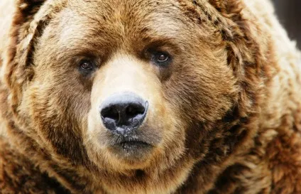 10 поширених помилок з приводу того, що робити в смертельно небезпечних ситуаціях