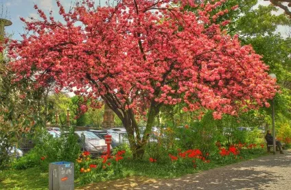 10 Кращих лікувально-оздоровчих курортів (лікування) 10 Кращих лікувально-оздоровчих курортів