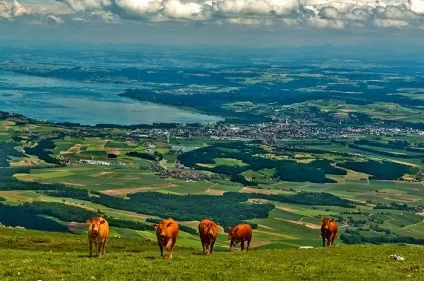 10 Кращих лікувально-оздоровчих курортів (кращих) 10 Кращих лікувально-оздоровчих курортів