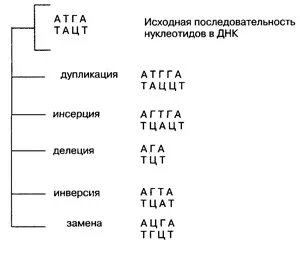 Генні (точкові) мутації
