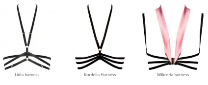 Гід по шкіряним аксесуарам і harness (harness) Гід по шкіряним аксесуарам і harness
