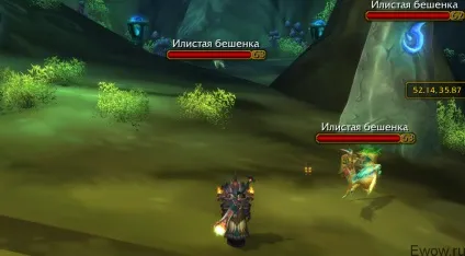 Де знаходиться ніжетопь, все про world of warcraft (гайди) Де знаходиться ніжетопь, все про world of warcraft