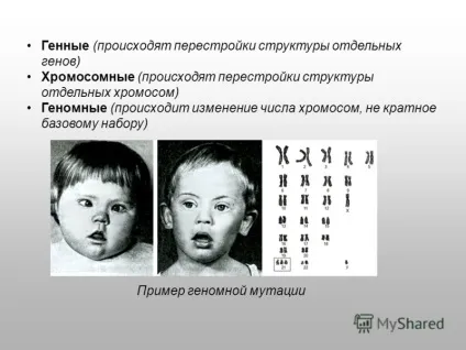 Генна мутація, як відбувається мутація світ ДНК - біотехнології майбутнього (мутація) Генна мутація, як відбувається мутація світ ДНК - біотехнології майбутнього