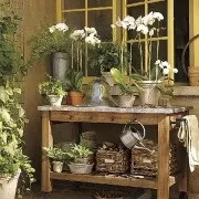 50 Способів оформити двір (двір) 50 Способів оформити двір