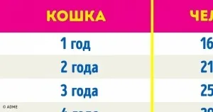40 Корисних ресурсів для безкоштовного вивчення мов (вивчення) 40 Корисних ресурсів для безкоштовного вивчення мов