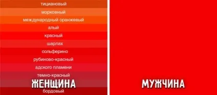 9 Фото, які доводять, що чоловіки і жінки все-таки з різних планет, funfeel (бачить себе дзеркалі) 9 Фото, які доводять, що чоловіки і жінки все-таки з різних планет, funfeel