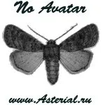 Asterial web design - створення сайтів