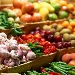 Арабський кінь особливості розведення і догляд - cельхозпортал (арабський кінь) Арабський кінь особливості розведення і догляд - cельхозпортал
