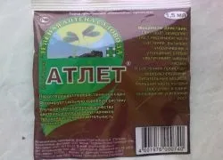 Атлет »для розсади