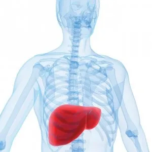 Аргінін в організмі роль, дія і функції, food and health (користь) Аргінін в організмі роль, дія і функції, food and health