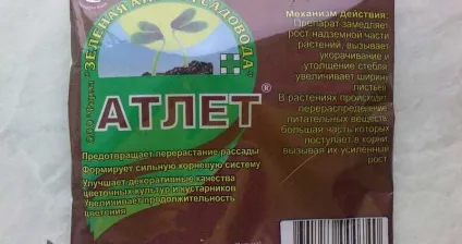Атлет для росту рослин, як застосовується стимулятор атлет (добрива) Атлет для росту рослин, як застосовується стимулятор атлет