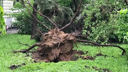 Аномальне літо в регіонахУкаіни