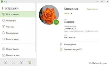 Аська і її веб версія