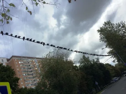 А ви знаєте, що таке Стонски Солана