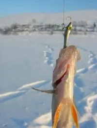 Балансир своїми руками