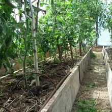 Автополив своїми руками з фото і відео монтажу системи автополиву на дачі (фото) Автополив своїми руками з фото і відео монтажу системи автополиву на дачі