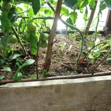 Автополив своїми руками з фото і відео монтажу системи автополиву на дачі (своїми) Автополив своїми руками з фото і відео монтажу системи автополиву на дачі