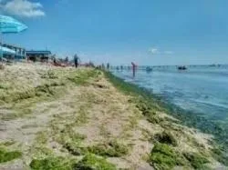Азовське море лякає відпочивальників