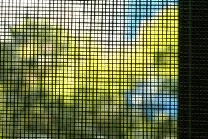 Балконні москітна сітка сітка на вікна від комарів на балкон, на пластикові вікна, фото (сітка) Балконні москітна сітка сітка на вікна від комарів на балкон, на пластикові вікна, фото