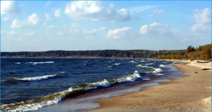 Байки зі дна обского моря, алексей стрілець (байки) Байки зі дна обского моря, алексей стрілець