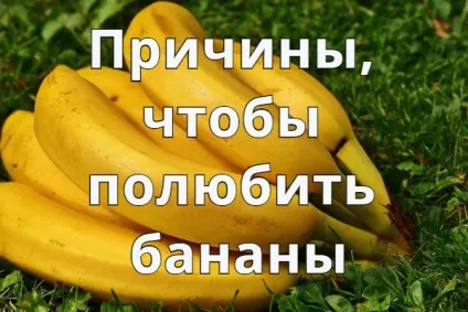 Банани від кашлю для дітей рецепти, лікування дитячого кашлю бананом з медом і молоком в домашніх (банани від кашлю для дітей) Банани від кашлю для дітей рецепти, лікування дитячого кашлю бананом з медом і молоком в домашніх