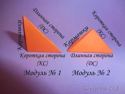 Ази модульного орігамі