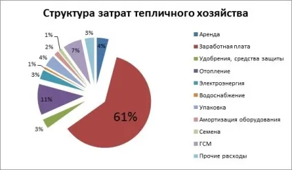 Бізнес план тепличного господарства (2017) (бізнес) Бізнес план тепличного господарства (2017)