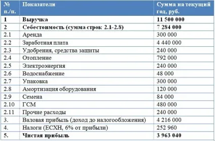 Бізнес план тепличного господарства (2017) (тепличного) Бізнес план тепличного господарства (2017)