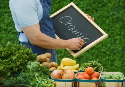 Бізнес ідея вирощування Екопродукт, від підніжжя до вершини успіху (бізнес) Бізнес ідея вирощування Екопродукт, від підніжжя до вершини успіху