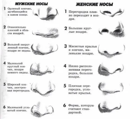 Великий ніс - пластика носа, операція, ускладнення після ринопластики, підготовка (операція) Великий ніс - пластика носа, операція, ускладнення після ринопластики, підготовка