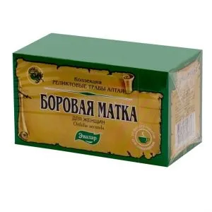 Чай борова матка показання до застосування, побічні дії (матка) Чай борова матка показання до застосування, побічні дії