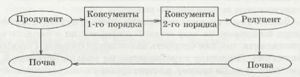 Ланцюги харчування і обмін речовин і енергії організмів - електронний підручник з біології (речовин) Ланцюги харчування і обмін речовин і енергії організмів - електронний підручник з біології