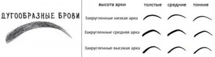 Брови за типом обличчя - основні види брів і форми обличчя (брови за типом обличчя підібрати за формою особи соболині широкі для овального особи для круглого) Брови за типом обличчя - основні види брів і форми обличчя