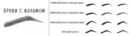 Брови за типом обличчя - основні види брів і форми обличчя (форми) Брови за типом обличчя - основні види брів і форми обличчя