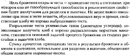 Бродіння дріжджового тіста (процес бродіння бактерій) Бродіння дріжджового тіста