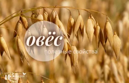 Цілющі властивості вівса, блог Ірини Зайцевої (Рецепт вівсяних пластівців) Цілющі властивості вівса, блог Ірини Зайцевої