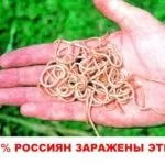Чим небезпечні глисти для людини шкоду для організму