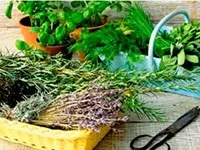 Чистка судин від холестерину - продукти, що виводять холестерин з організму, рецепти, народні (судин) Чистка судин від холестерину - продукти, що виводять холестерин з організму, рецепти, народні