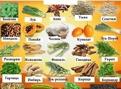 Чим небезпечні генетично модифіковані продукти (стійкою) Чим небезпечні генетично модифіковані продукти