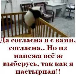Чим відрізняється настирливість від впертості (настирливість) Чим відрізняється настирливість від впертості