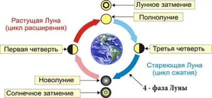 Четверта фаза місяця - остання чверть, період бальзамической місяця (місяця) Четверта фаза місяця - остання чверть, період бальзамической місяця