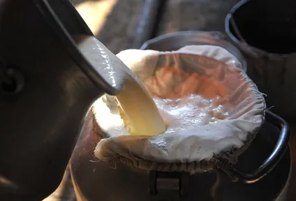 Чим відрізняється домашній сир від магазинного - натуральні продукти харчування з села (натуральні продукти) Чим відрізняється домашній сир від магазинного - натуральні продукти харчування з села