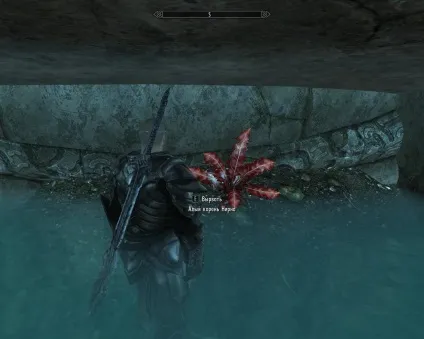 Чорний межа - підземелля - локації - elder scrolls 5 skyrim, the - проходження, гайд, (покинутій насосної станції) Чорний межа - підземелля - локації - elder scrolls 5 skyrim, the - проходження, гайд,