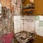 Що робити, якщо сусіди перетворюють квартиру в смітник