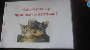 Що з чого (тематичні заняття) (тему чого зроблено) Що з чого (тематичні заняття)