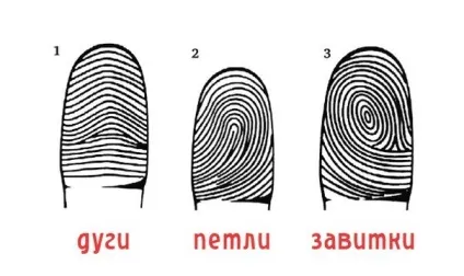 Що про вас можуть розповісти візерунки на подушечках пальців - в світі цікавого (подушечках) Що про вас можуть розповісти візерунки на подушечках пальців - в світі цікавого