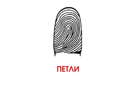 Що розкажуть візерунки на ваших пальцях (тебе вказівних пальцях) Що розкажуть візерунки на ваших пальцях
