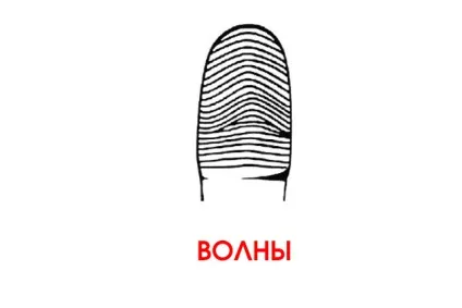 Що розкажуть візерунки на ваших пальцях (візерунки) Що розкажуть візерунки на ваших пальцях