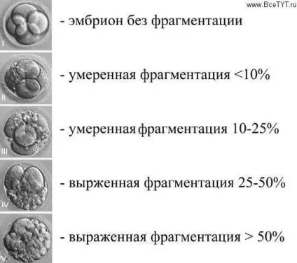 Що таке фрагментація