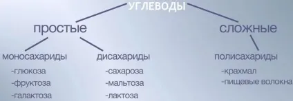 Що таке вуглеводи і глікемічний індекс продуктів